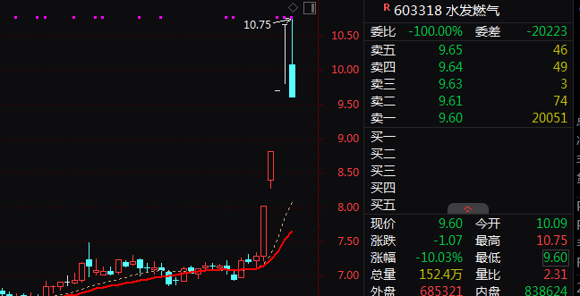 通光线缆2连20%涨停！4股获主力资金超20亿净流入！(4)