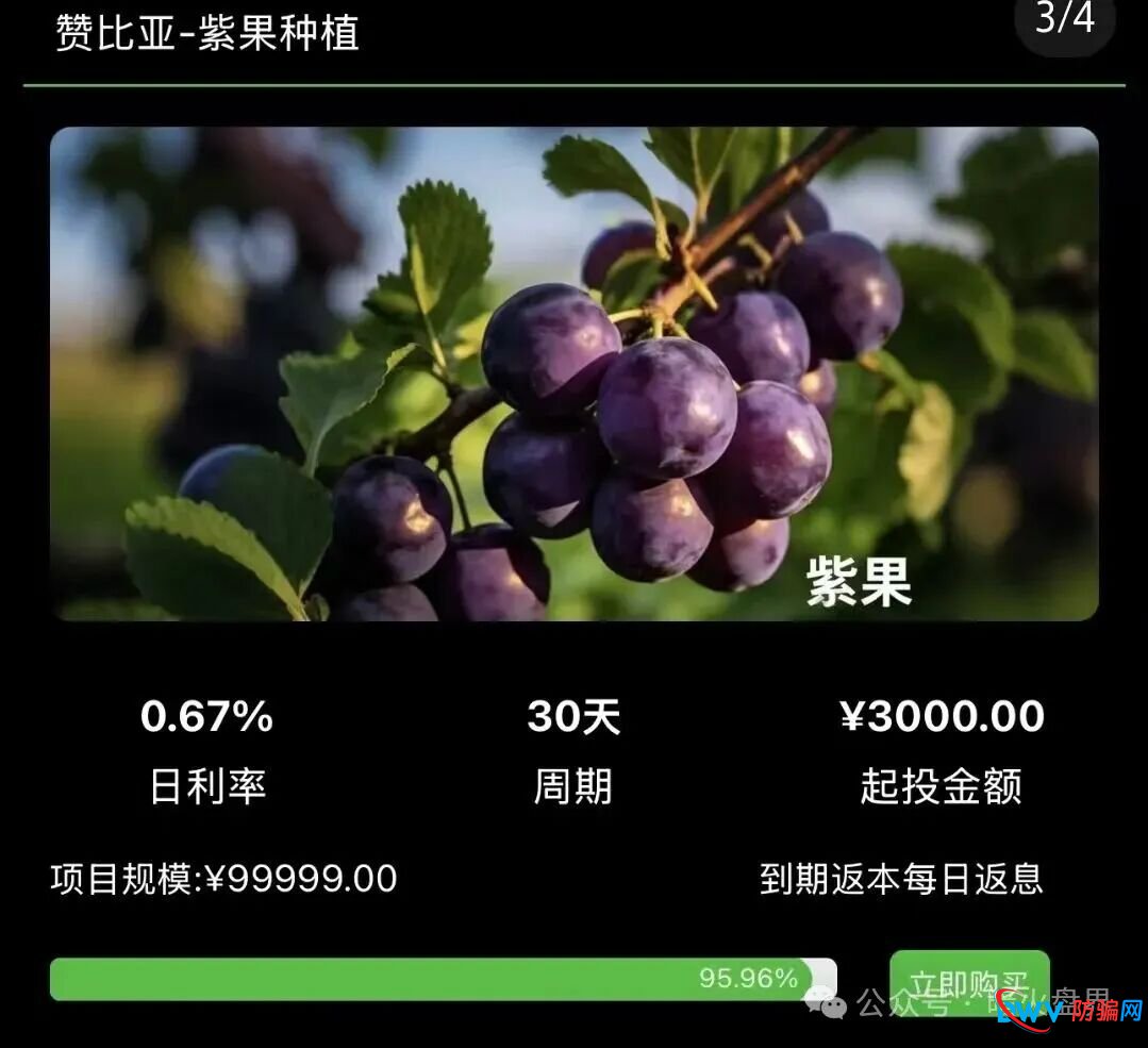 警惕“云种树”新变种!“华洋绿投”借赞比亚、东南亚果园噱头,专骗中老年养老钱(2) 警惕“云种树”新变种!“华洋绿投”借赞比亚、东南亚果园噱头,专骗中老年养老钱(2)