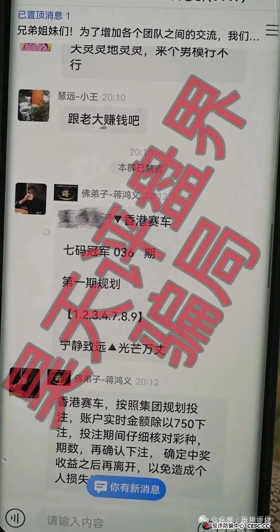 银彩娱乐（银彩乐聊）资金盘已开始收割，速度撤离，崩盘在即！(4)