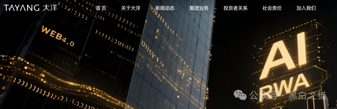 资金盘｜套牌“大洋”做非法项目，漏洞百出陷阱多，随时崩盘
