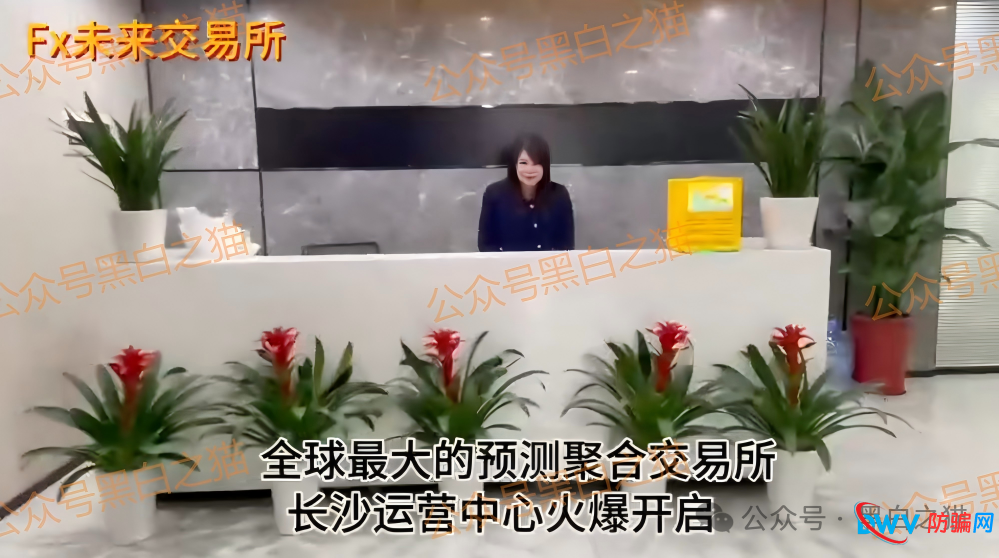 起底FutureX未来交易所骗局:技术外包、国内服务器、无任何合规牌照(5) 起底FutureX未来交易所骗局:技术外包、国内服务器、无任何合规牌照(5)